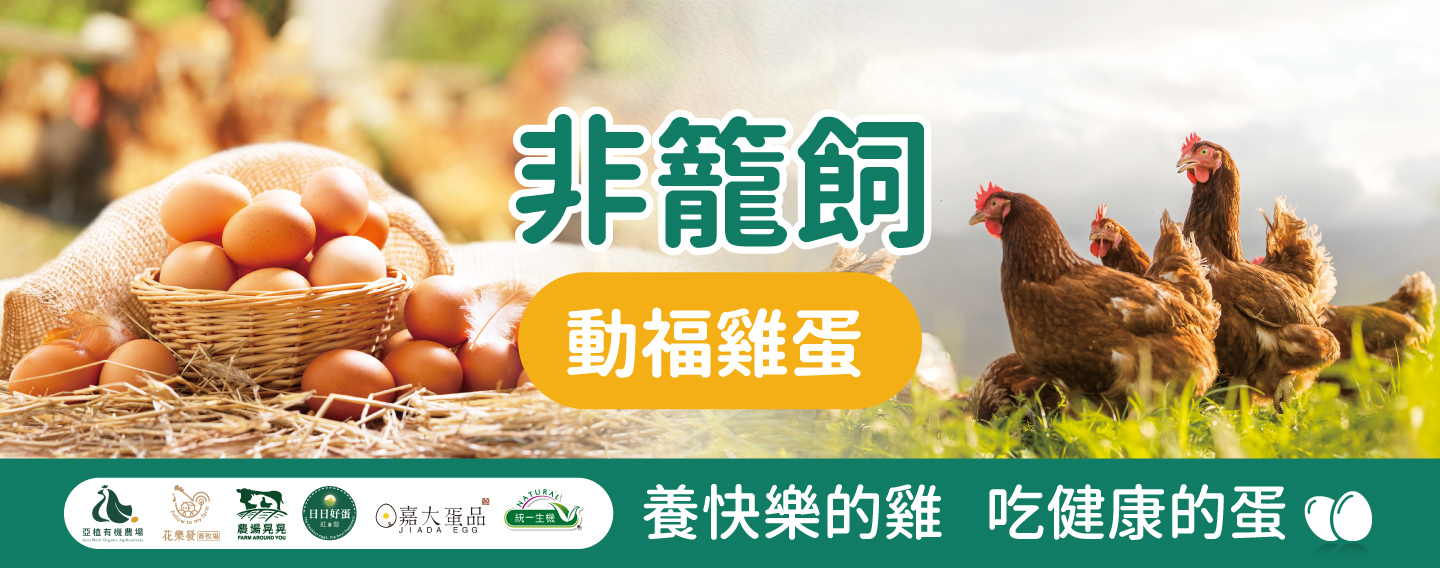 【養快樂的機 吃健康的蛋】
