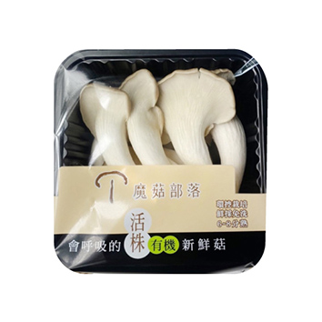 有機活株秀珍菇_蕈優