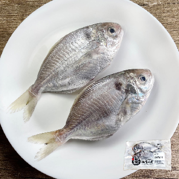 媽宮水產 澎湖野生肉魚_